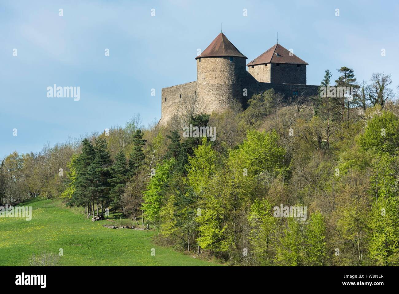 France, Ain, Bugey region, Amberieu-en-Bugey, Brey de Vent hamlet, Allymes castle is an old 14th century fortified castle Stock Photo