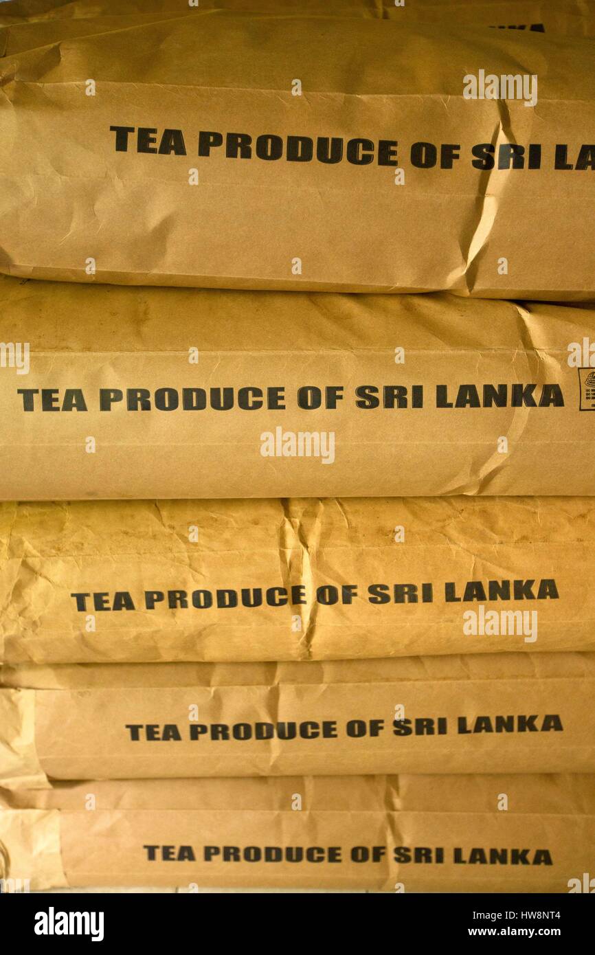 Mackwoods labookellie tea factory hi-res stock photography and images ...
