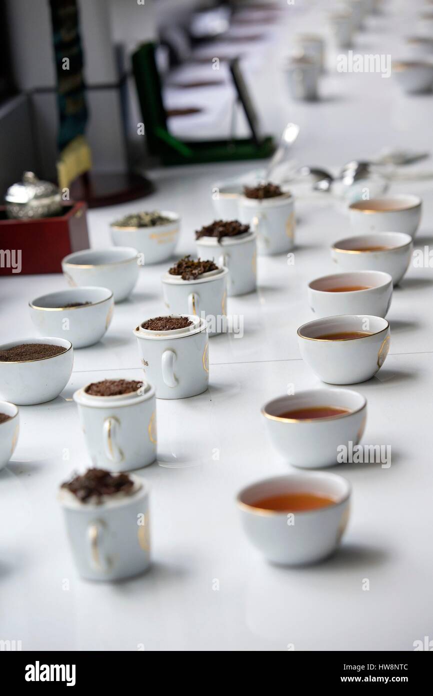 Sri Lanka, Central Province, Nuwara Eliya district, Nuwara Eliya tea ...