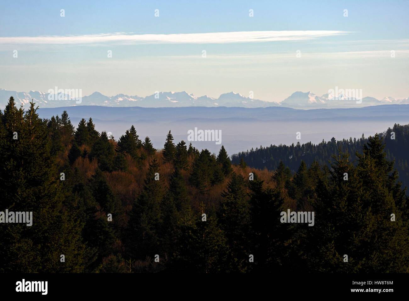France, Haute Saone, Ballon de Servance (1216 m), top, views of the Bernese  Alps Stock Photo - Alamy