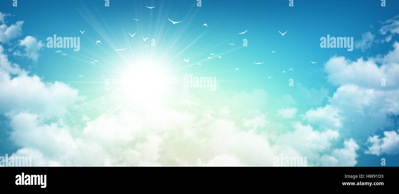 Early morning sky background, sunlight through white clouds and free birds flying away Stock Photo