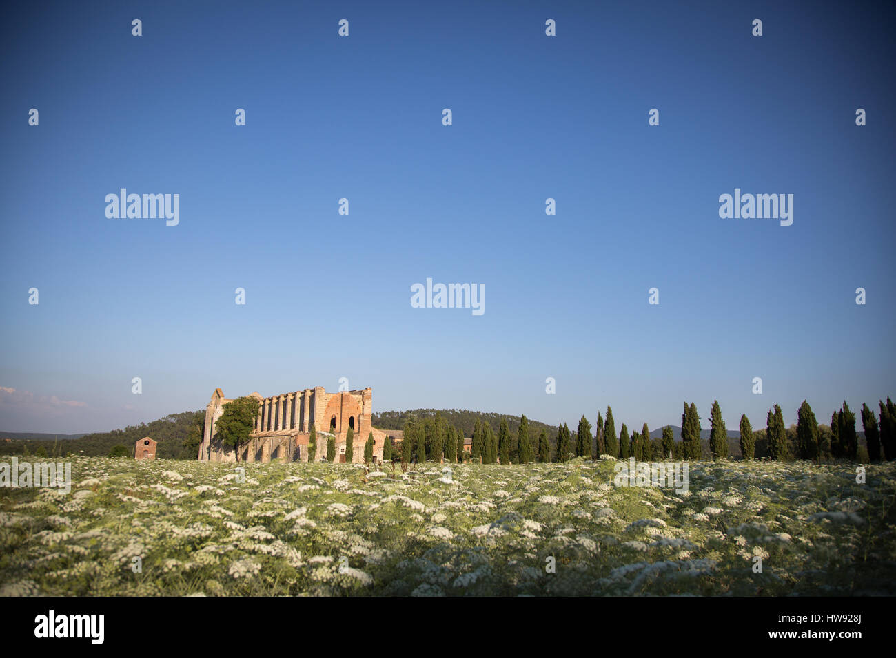 San Galgano Abbey in Tuscany, Italy Stock Photo