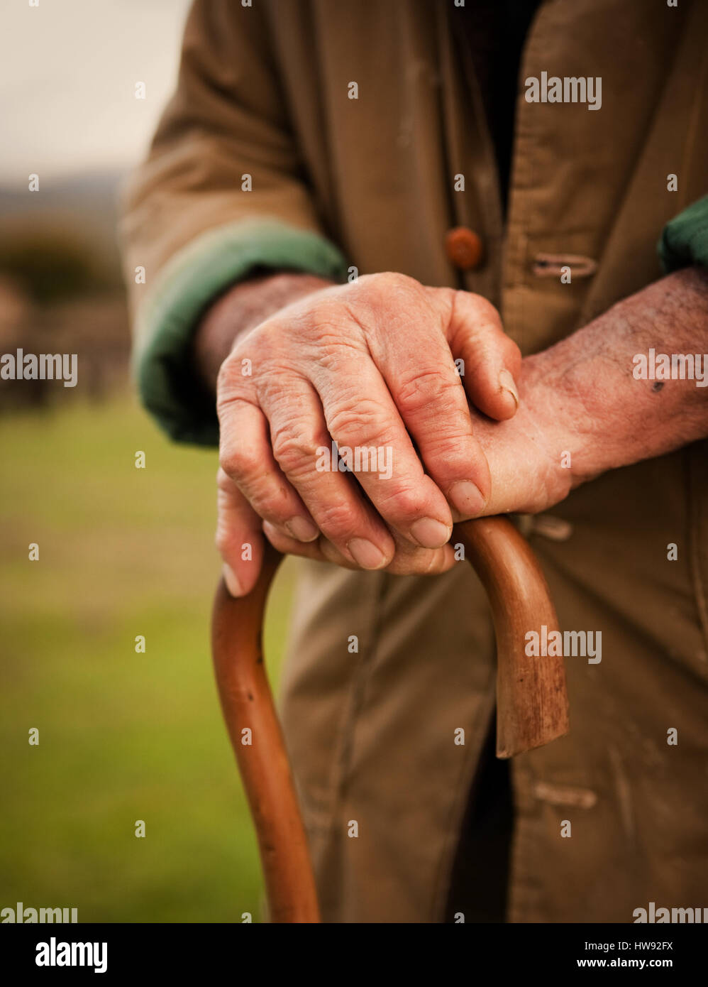 Farmer with holding a cane in Tuscany Italy Stock Photo