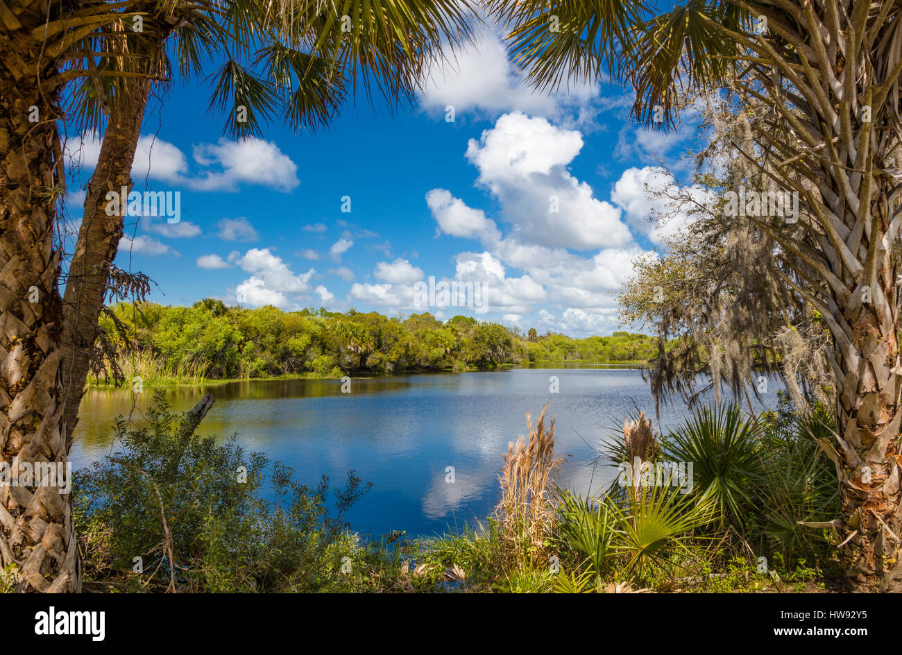 Deer Prairie Creek Preserve in Venice FLorida Stock Photo