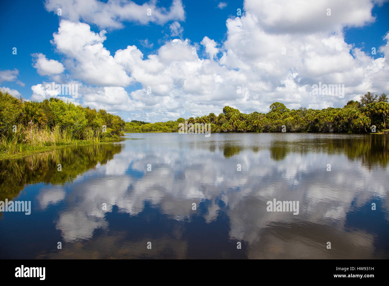 Deer Prairie Creek Preserve in Venice FLorida Stock Photo