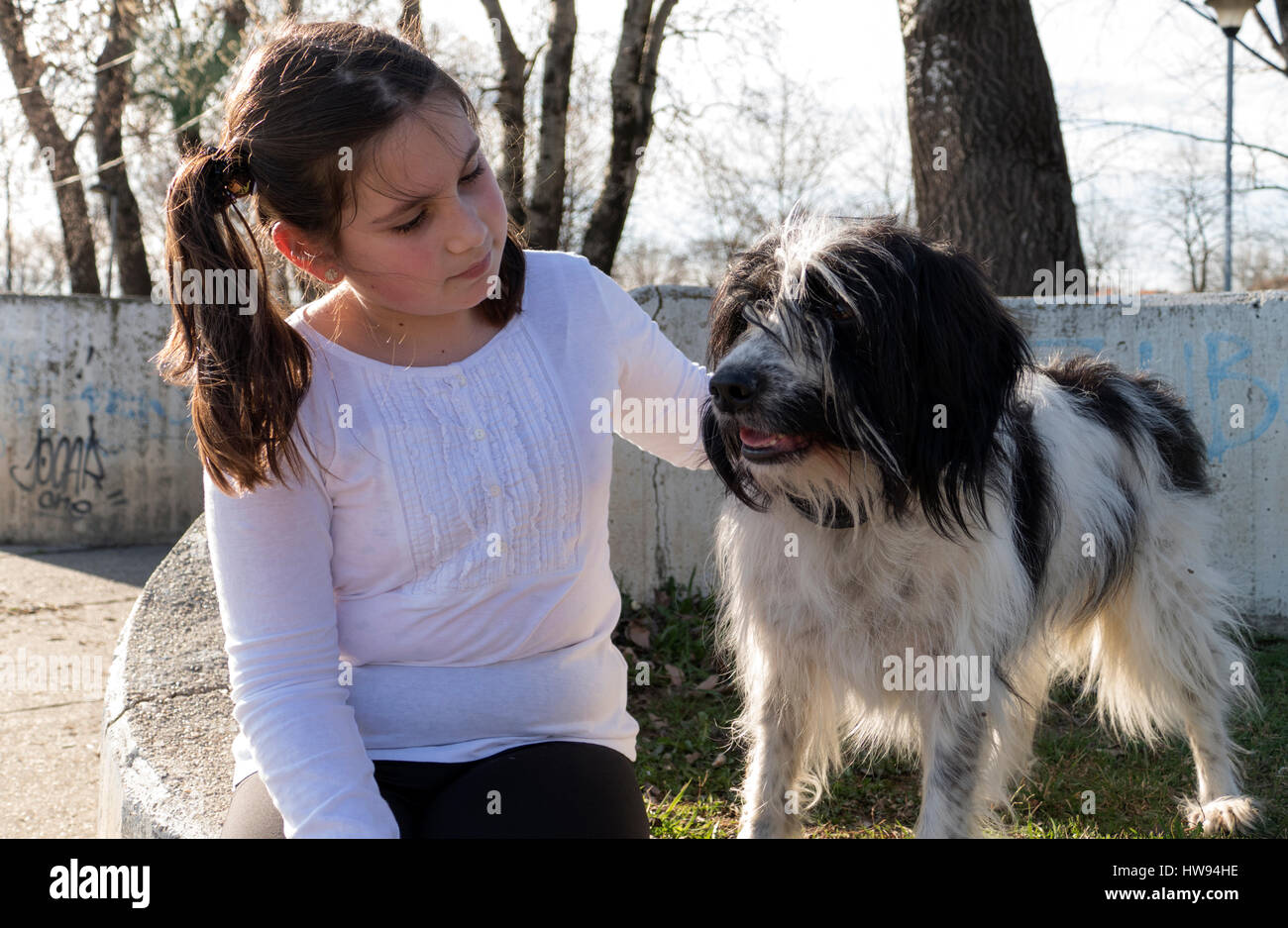 Little girl with dog in park Stock Photo - Alamy