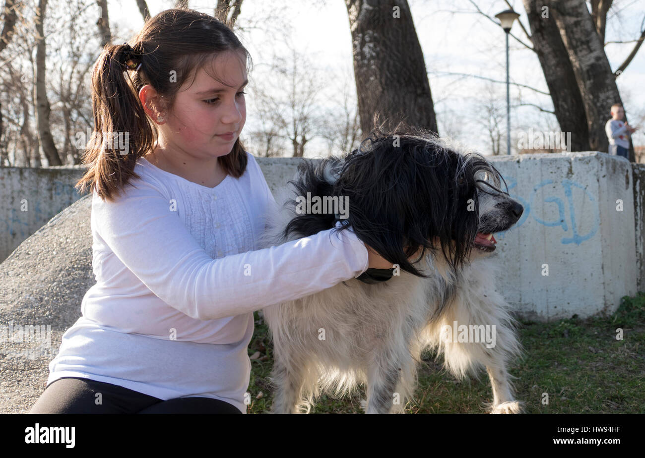 Little girl with dog in park Stock Photo - Alamy