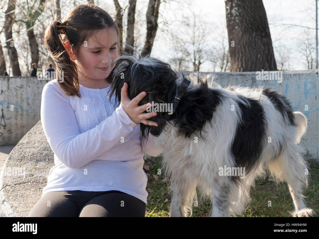 Little girl with dog in park Stock Photo - Alamy