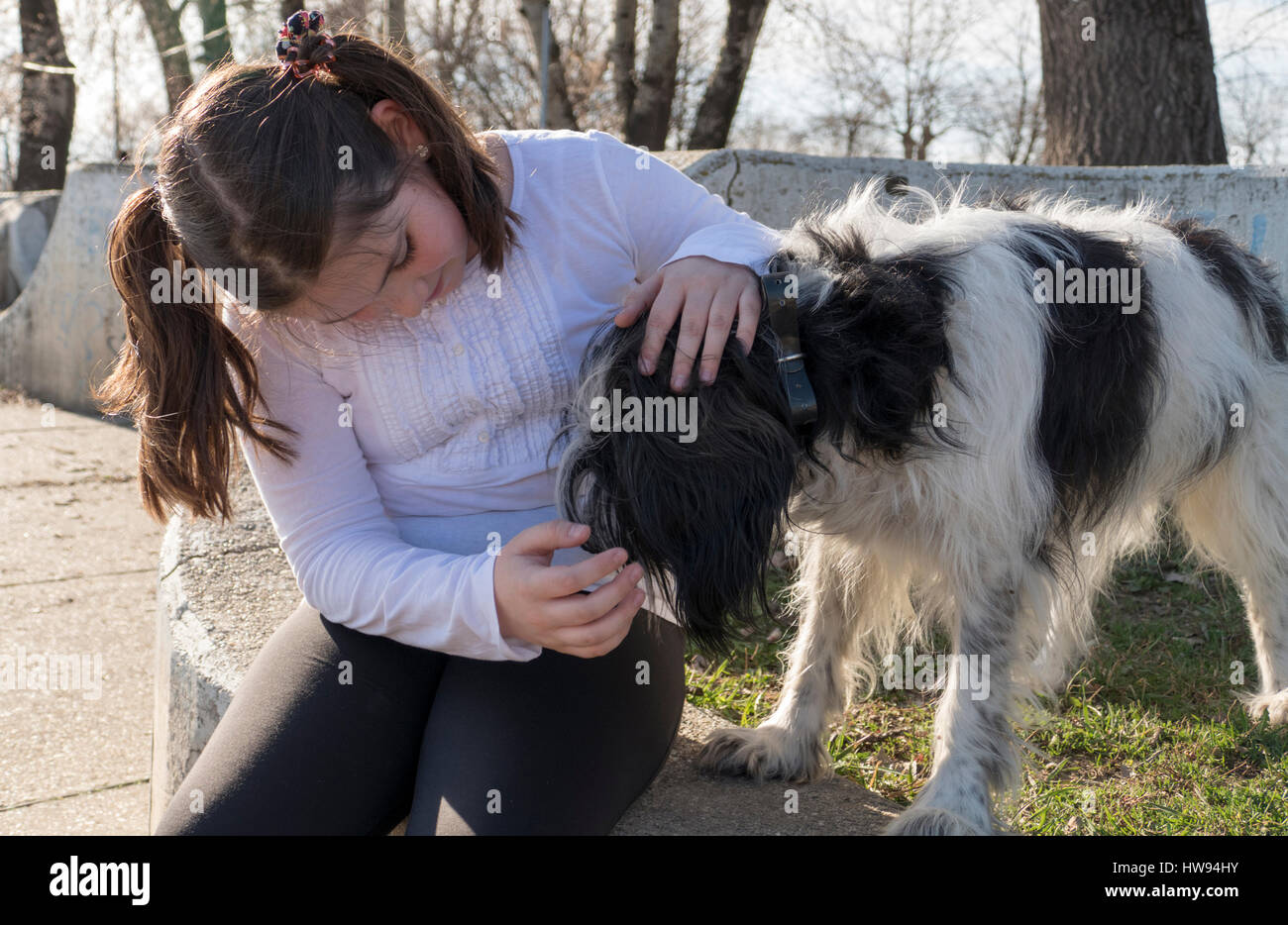 Little girl with dog in park Stock Photo - Alamy