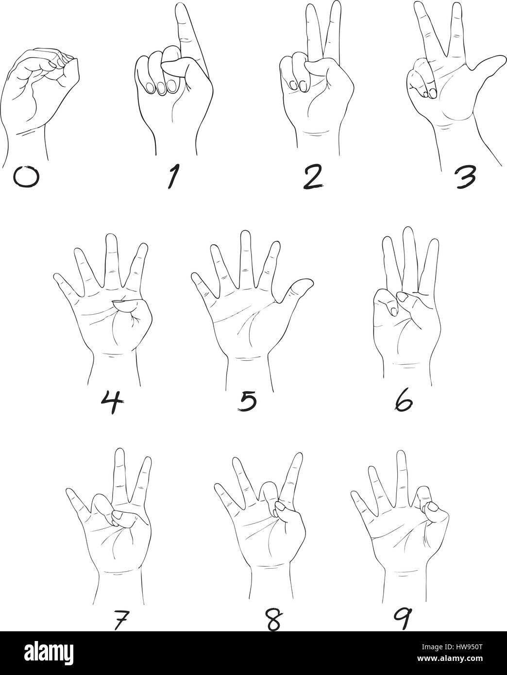 Hand Drawn Sketch Set of Hand Signs Showing The Number One, Two, Three,  Four, Five, Six, Seven, Eight and Nine Isolated on White Background Stock  Vector Image & Art - Alamy