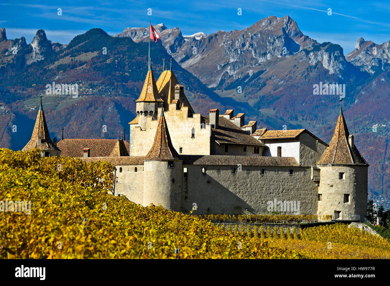 Aigle High Resolution Stock Photography and Images - Alamy