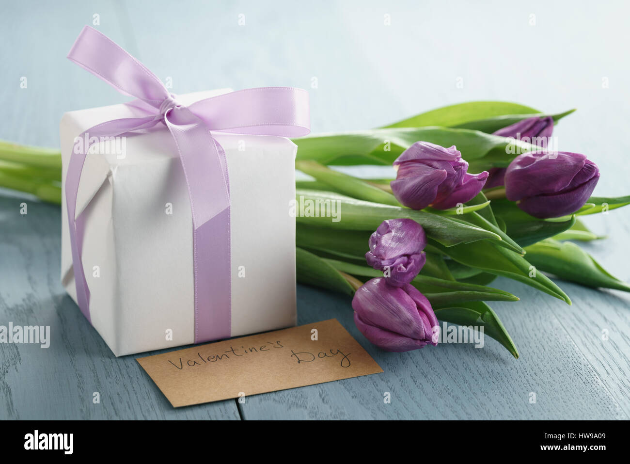 white gift box with purple bow and tulips on blue wood background Stock Photo