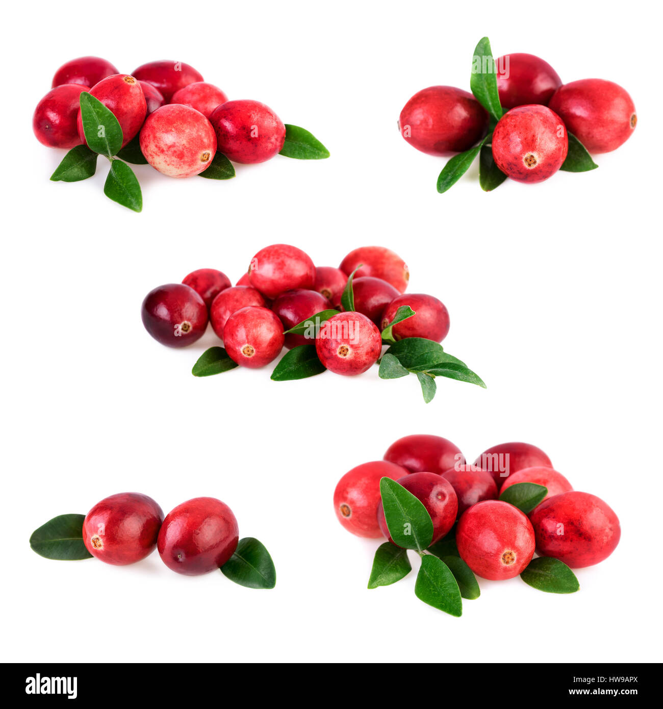 Collection of cranberries on white Stock Photo Alamy
