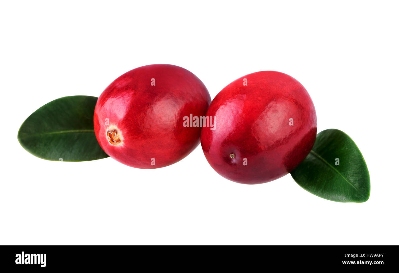 Cranberries on white closeup Stock Photo Alamy