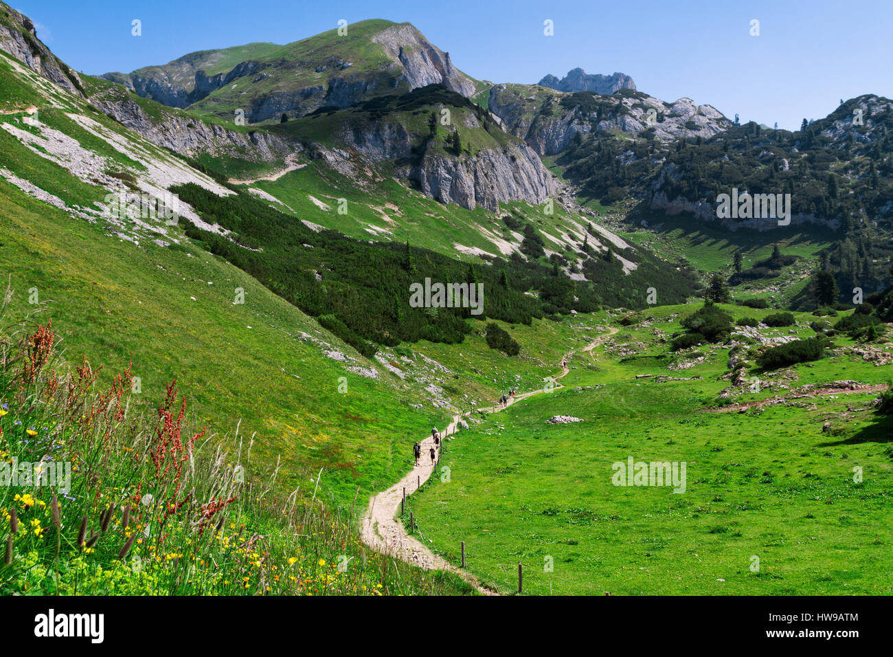 Hiking in the mountains. Austria travel, Achensee Area, Tirol Stock Photo