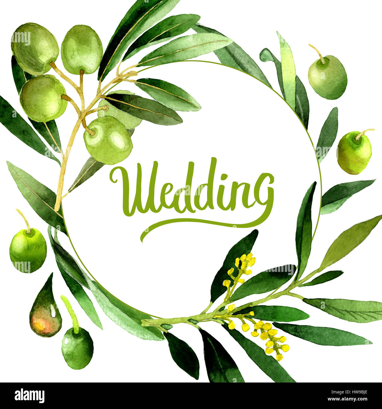 Olive tree wreath in a watercolor style isolated Stock Photo - Alamy
