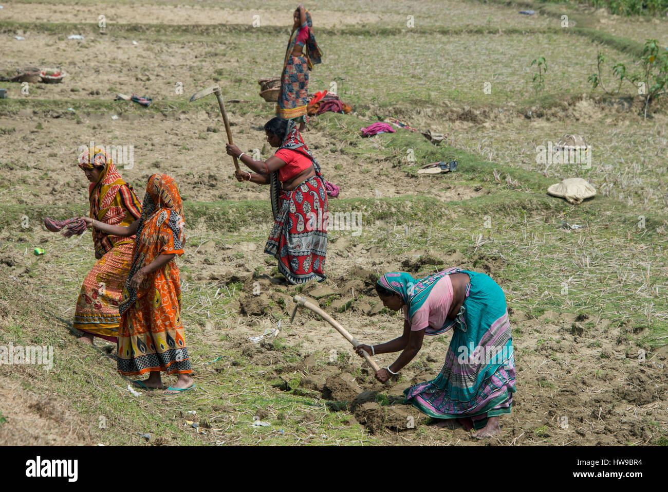Bangladesh, Chittagong, District of Cox Bazar, Maheshkhali Island (aka Maheshkali, Mahesh Khali, Moheshkhali) Women fieldworkers, Maheshkhali Village. Stock Photo