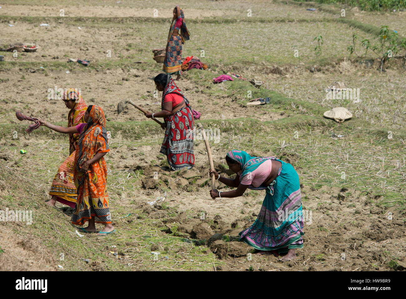 Bangladesh, Chittagong, District of Cox Bazar, Maheshkhali Island (aka Maheshkali, Mahesh Khali, Moheshkhali) Women fieldworkers, Maheshkhali Village. Stock Photo