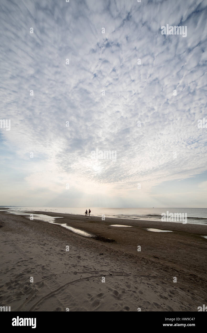 people walking on the sandy beach in sunset Stock Photo - Alamy