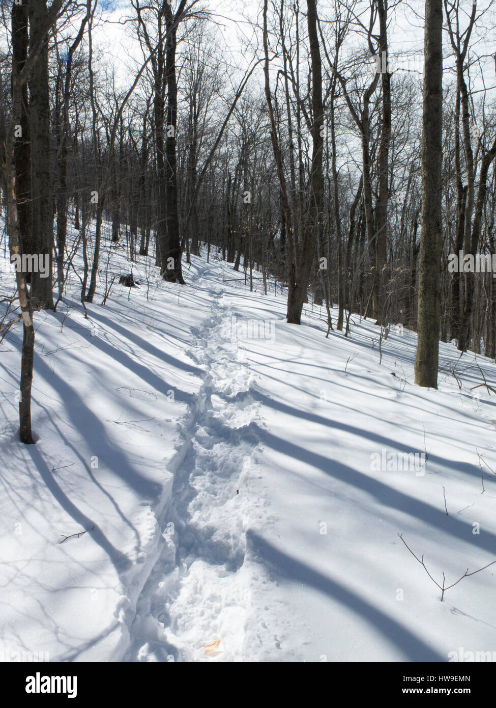 Late winter snow in Florida, Massachusetts. Stock Photo