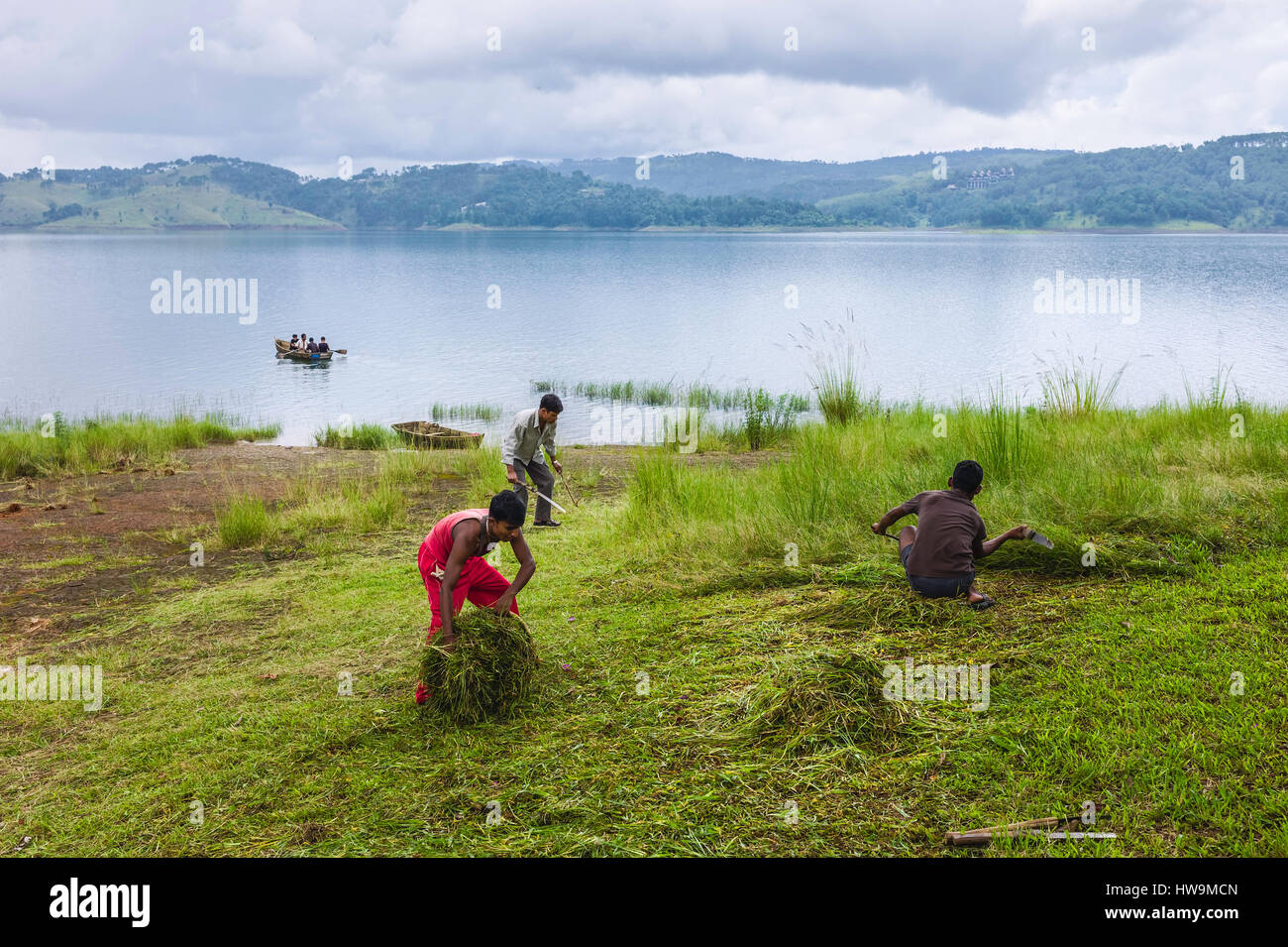 Umiam lake with men cutting grass along bank and wooden boat with passengers on the water near Shillong, Meghalaya, India. Stock Photo
