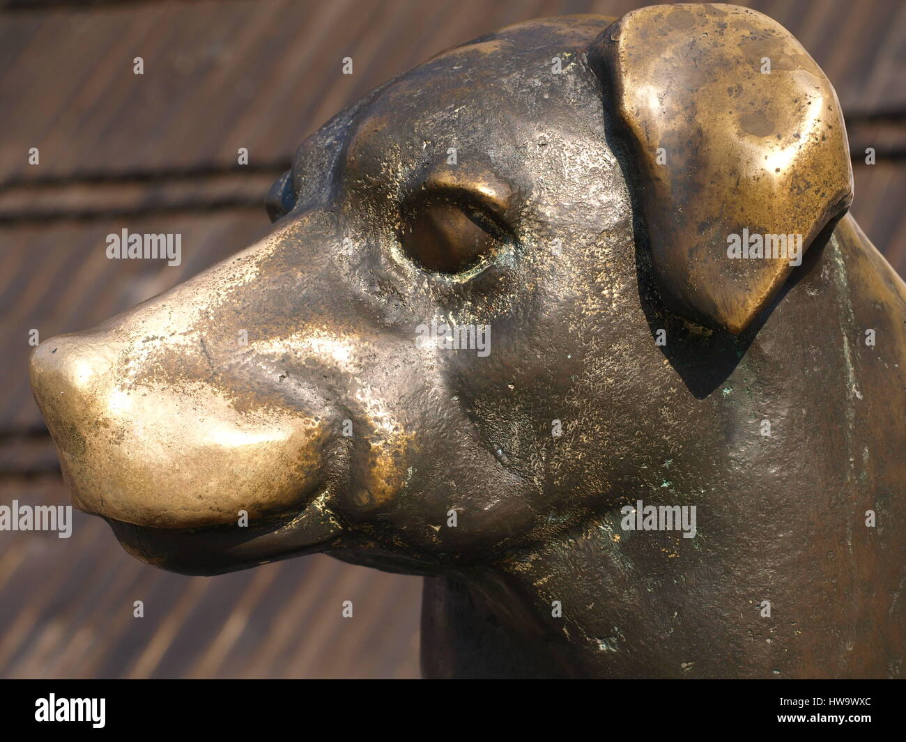 Bronze statue of dog in Old Market Place in Kazimierz Dolny, Poland