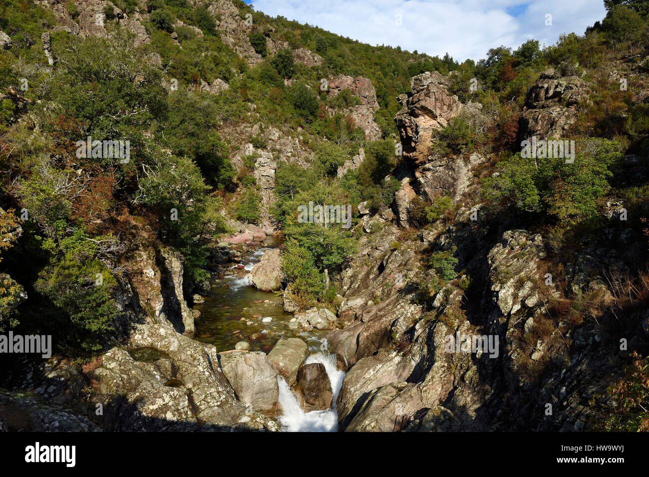 France, Corse du Sud, Prunelli river valley, Prunelli gorges Stock Photo