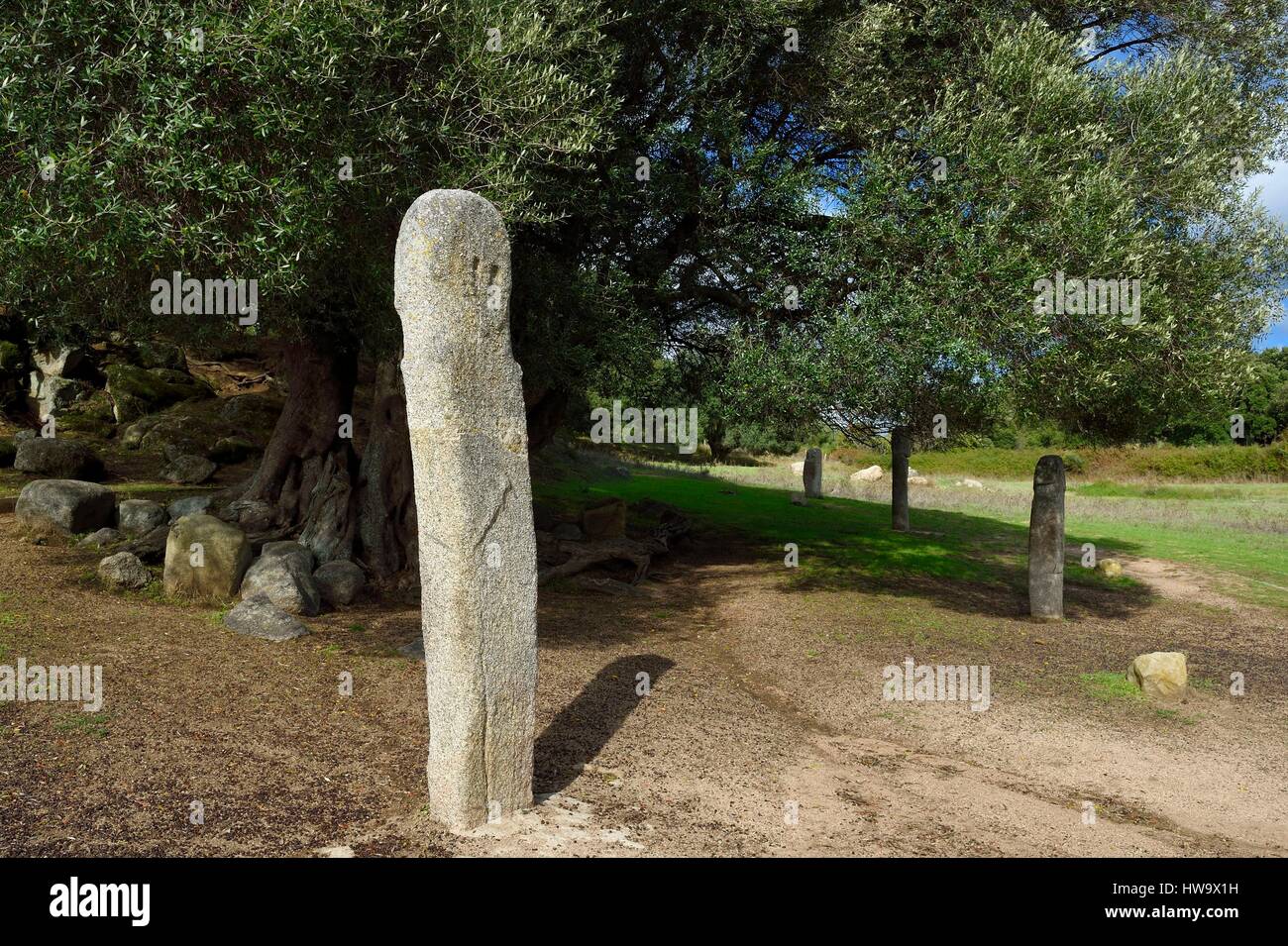 France, Corse du Sud, prehistoric site of Filitosa, menhir statue of armed characters Stock Photo