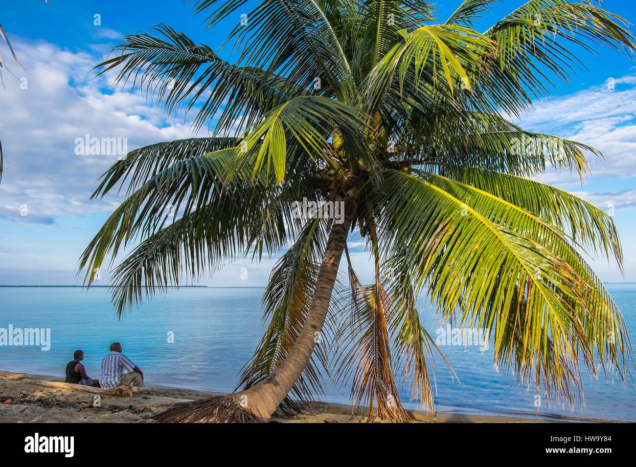 Belize, Stann Creek district, Hopkins, little garifuna fishing village, the beach Stock Photo