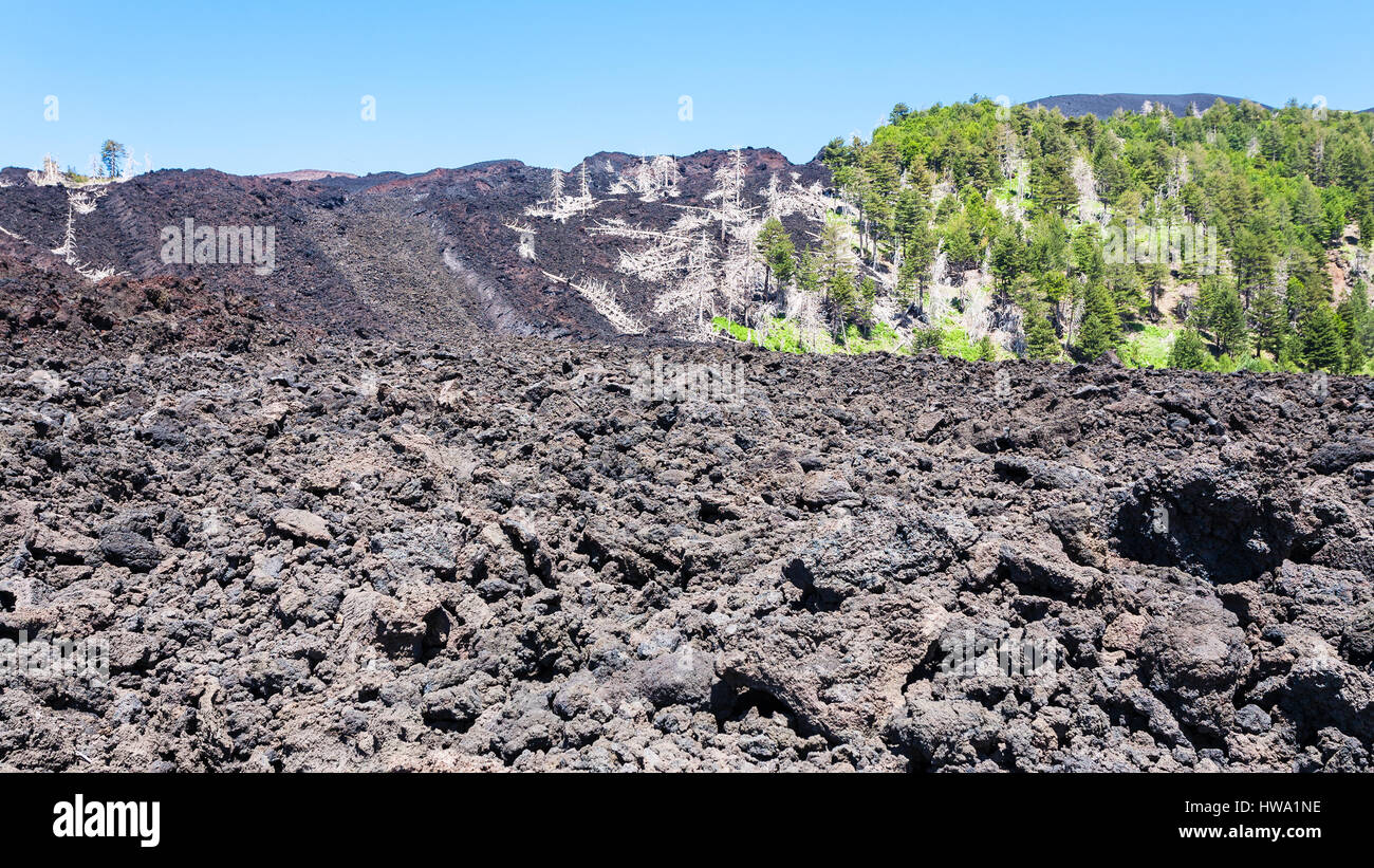 travel to Italy - frozen lava flow on slope of Etna volcano with burned ...