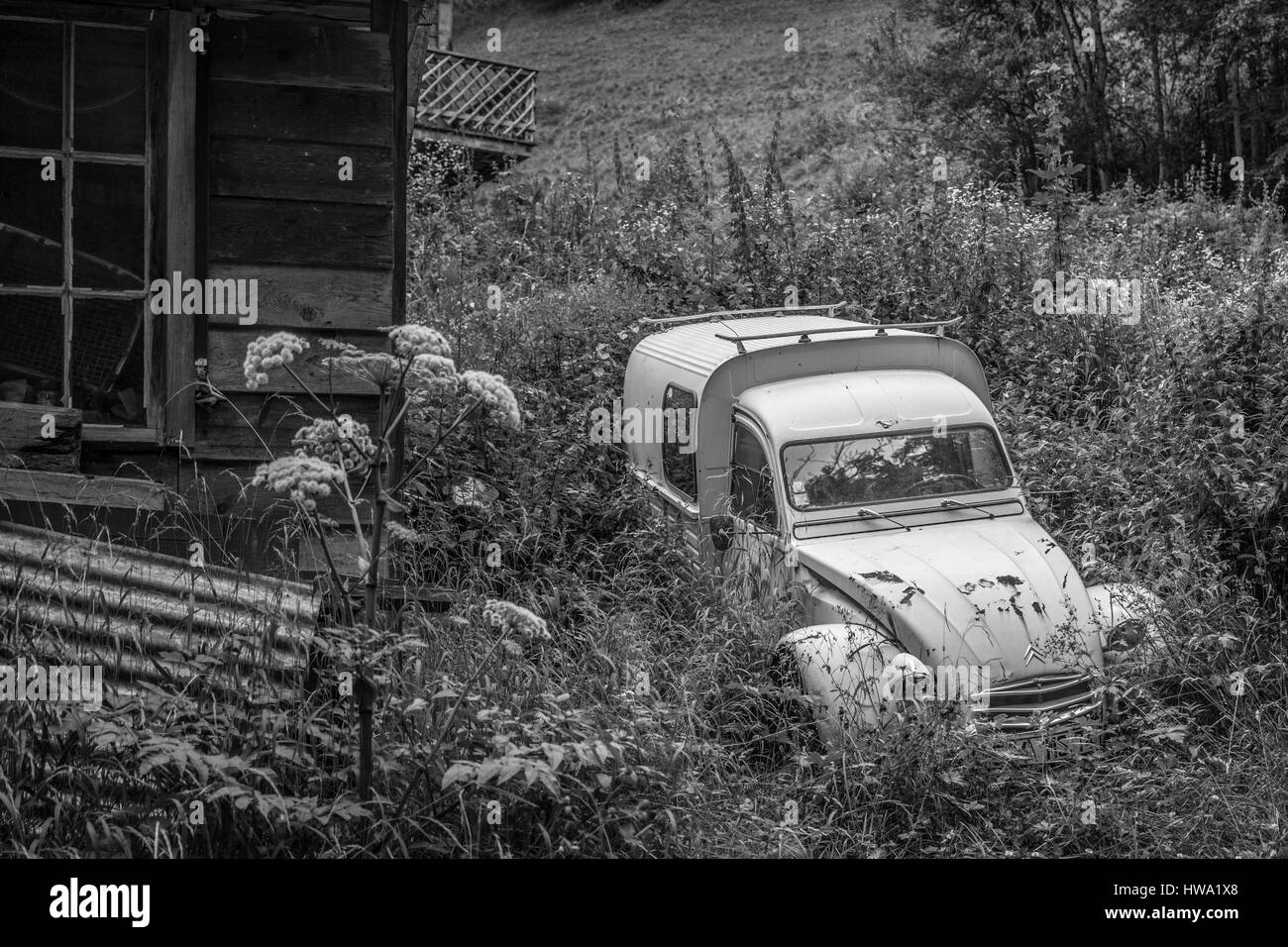 Vintage car in an overgrown yard Stock Photo