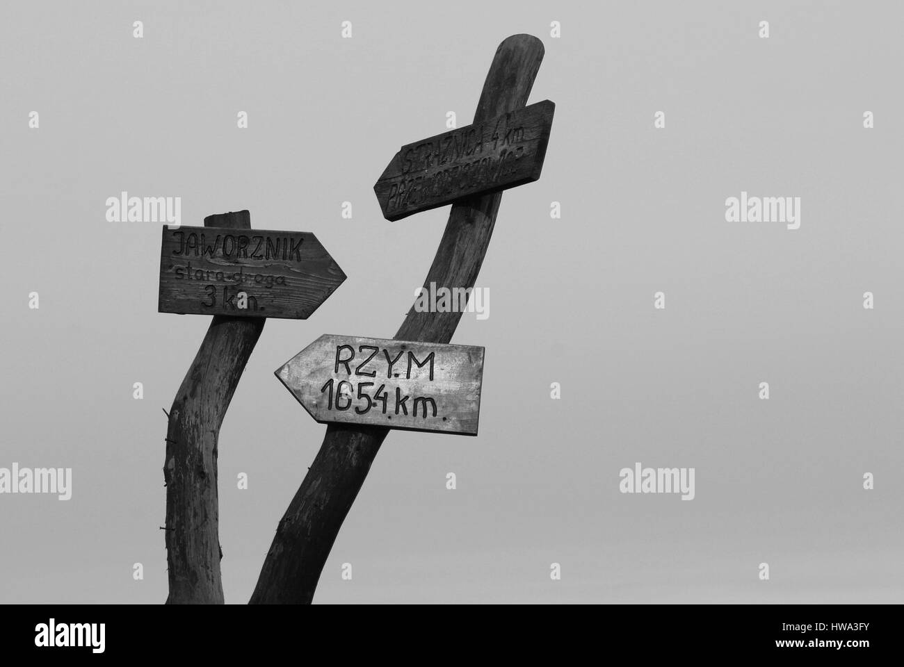 wooden old school sign giving world wide directions Stock Photo