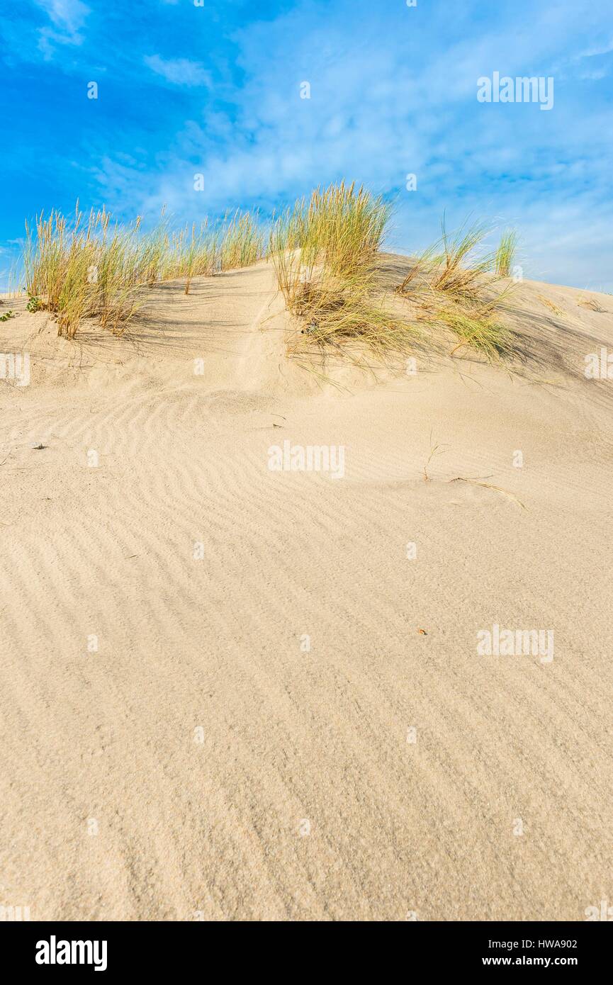 France, Gironde, Soulac-sur-Mer, stage on the way of Santiago de Compostela, dunes of the Silver coast Stock Photo