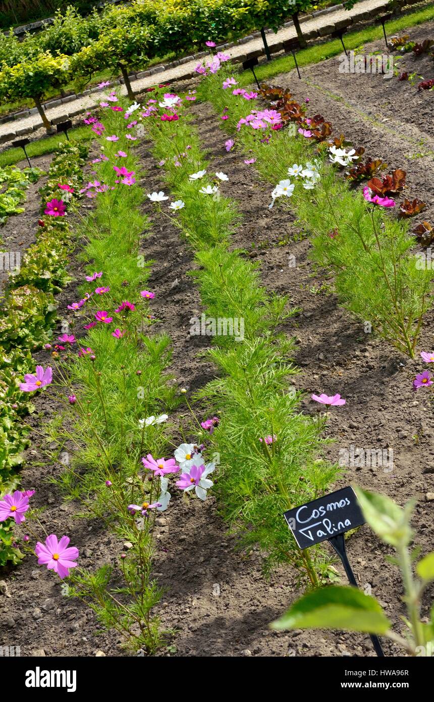 France, Oise, Chantilly, le Potager des Princes, old pheasantry of  Chantilly castle, labelled Jardin Remarquable ( remarkable garden Stock  Photo - Alamy