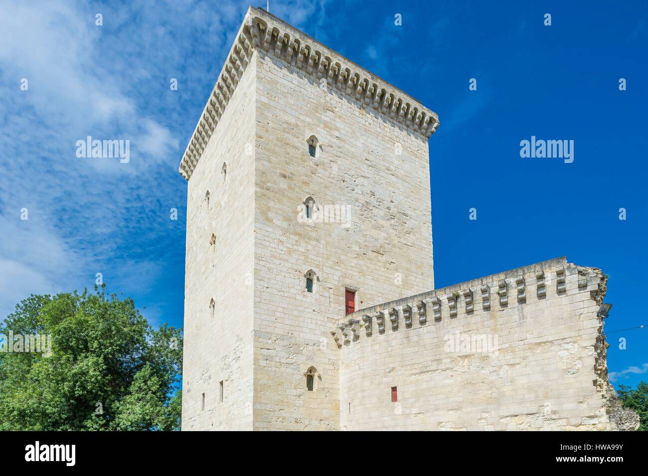 France, Gironde, Lesparre-Medoc, 14th century Tour de l'Honneur is the only remain of the Lesparre castle Stock Photo