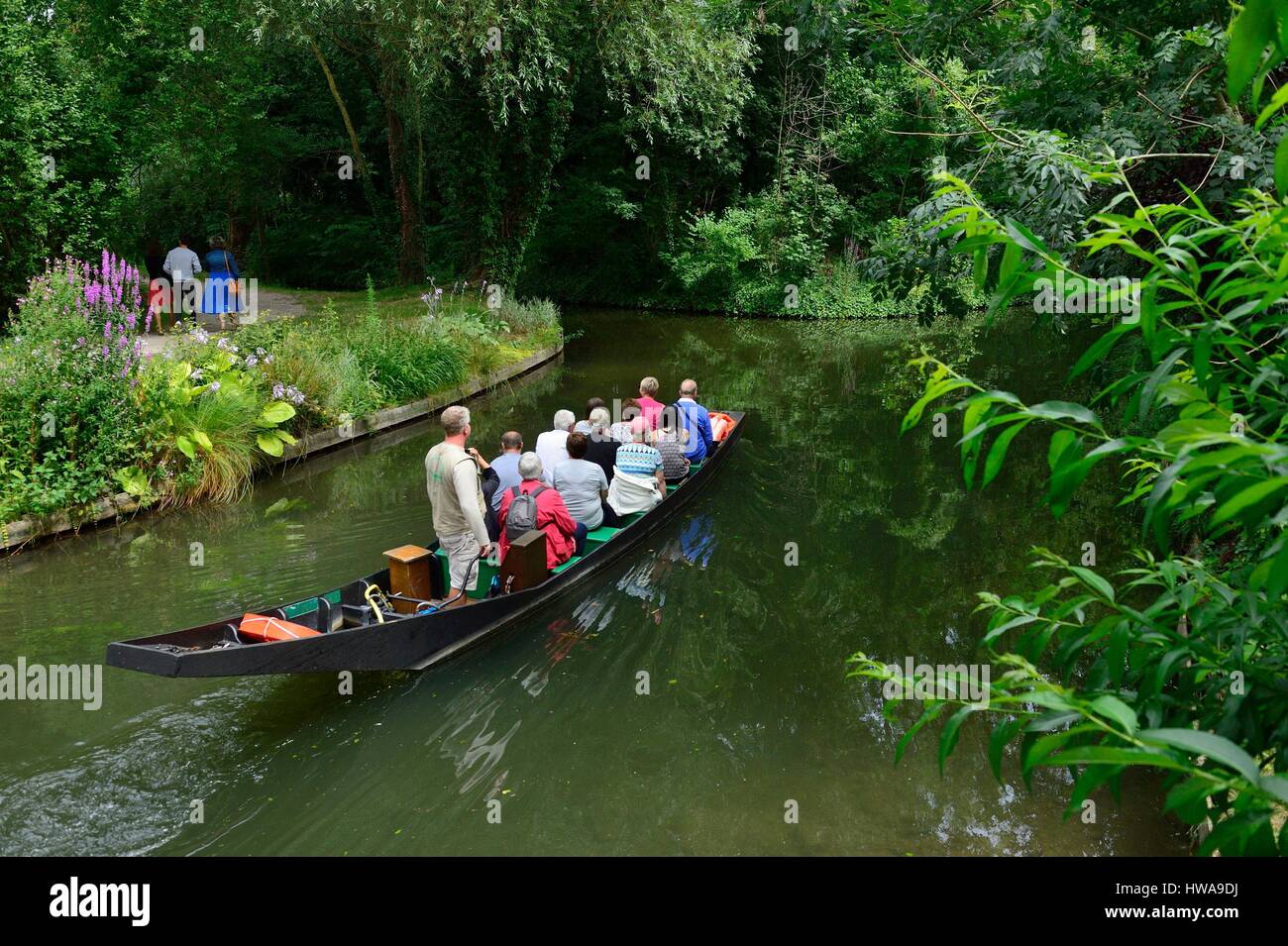 France, Somme, Amiens, the Hortillonnages, floating gardens, horn boat