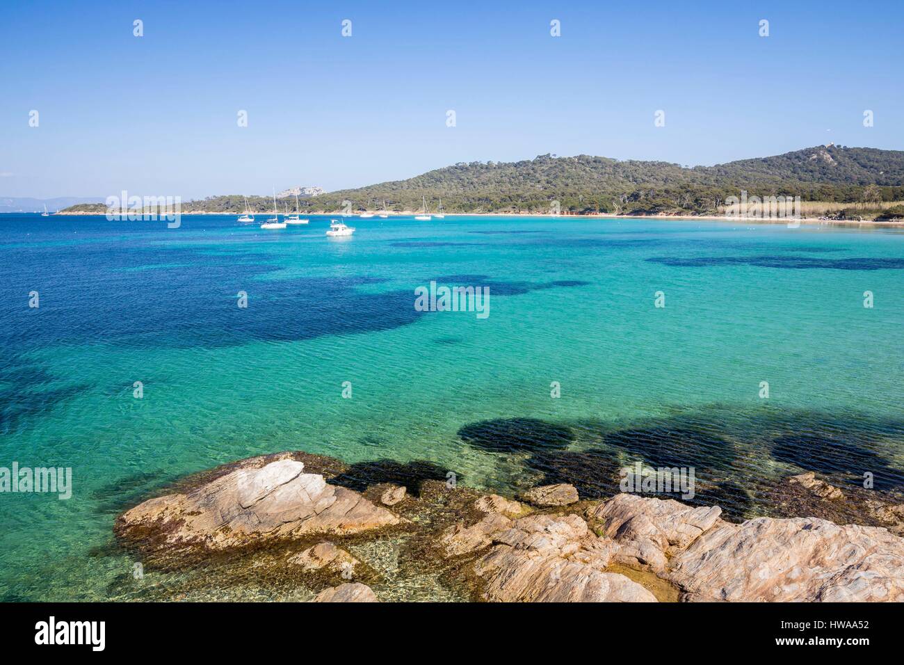 France Var Iles D Hyeres National Park Of Port Cros Island Of Stock Photo Alamy France Var Iles D Hyeres National Park Of Port Cros Island Of Stock Photo Alamy