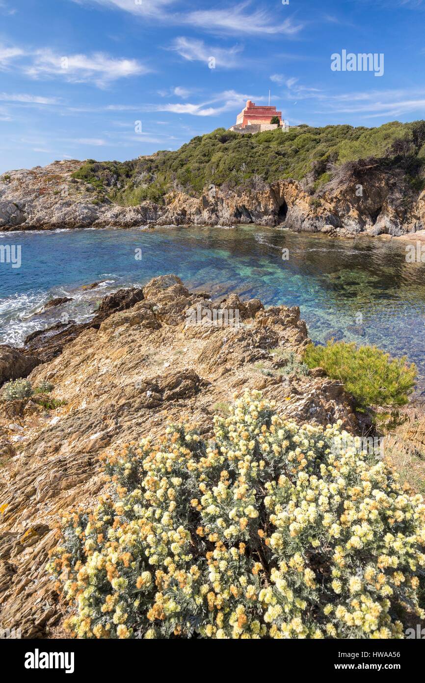 France Var Iles D Hyeres National Park Of Port Cros Island Of Stock Photo Alamy