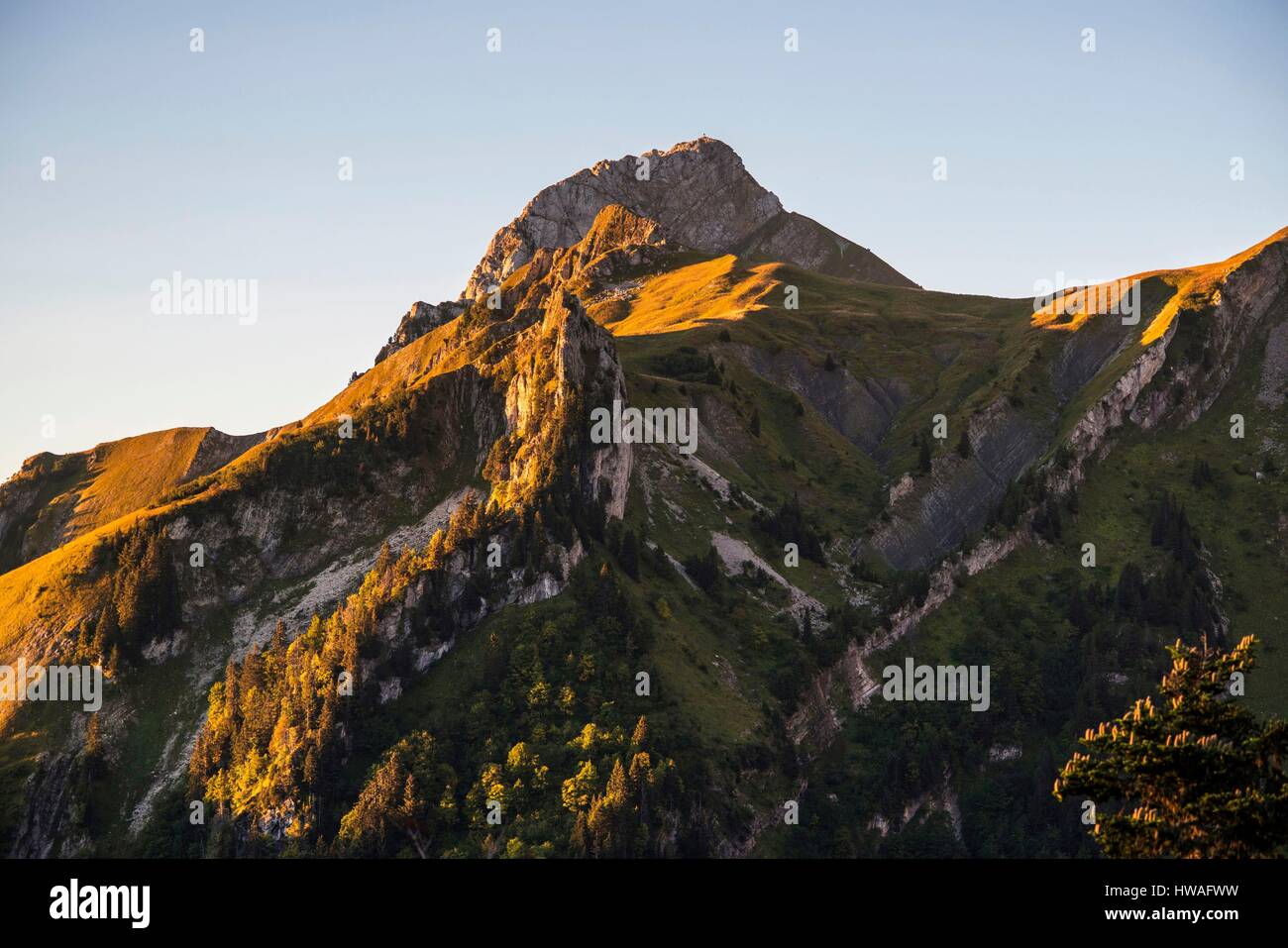 France, Haute Savoie, Bauges moutain range, Chevaline, Mont Trelod (2181m) Stock Photo