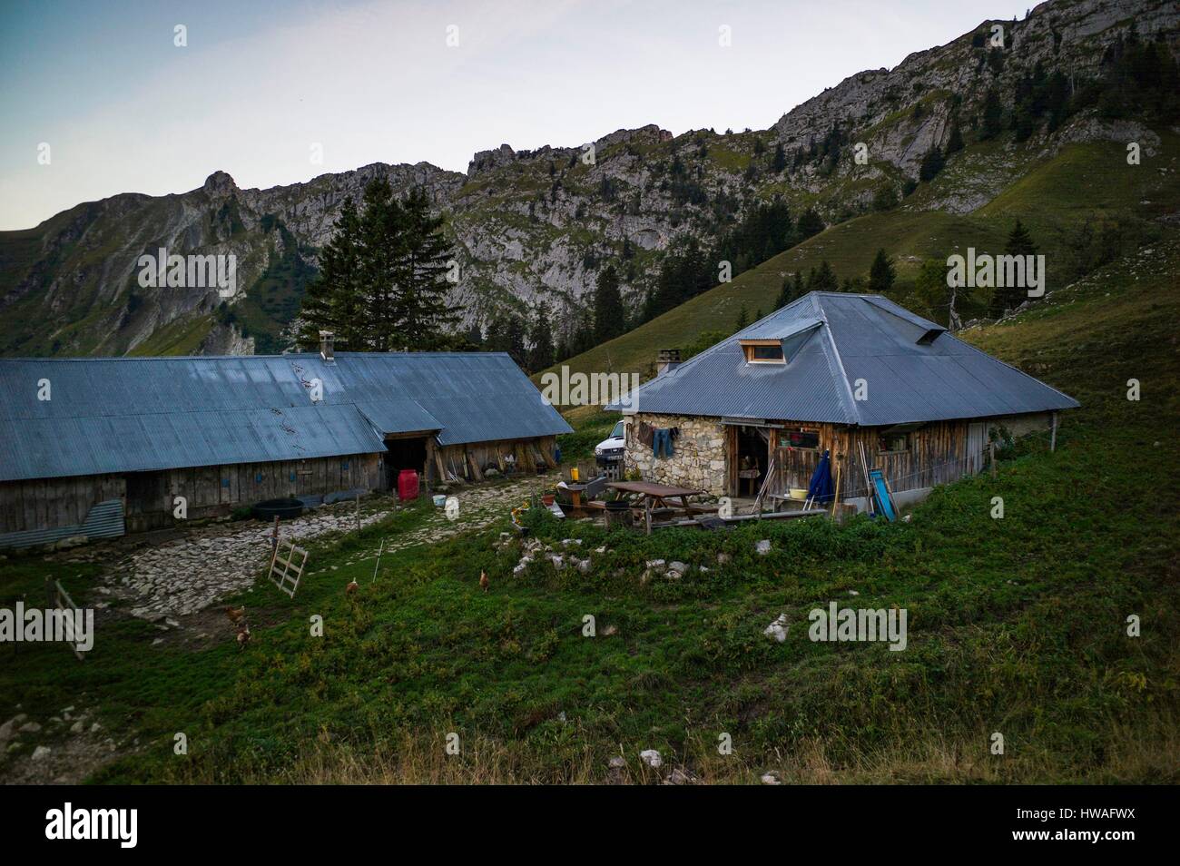 France, Haute Savoie, Bauges moutain range, Chevaline, Rosay alpine pasture Stock Photo