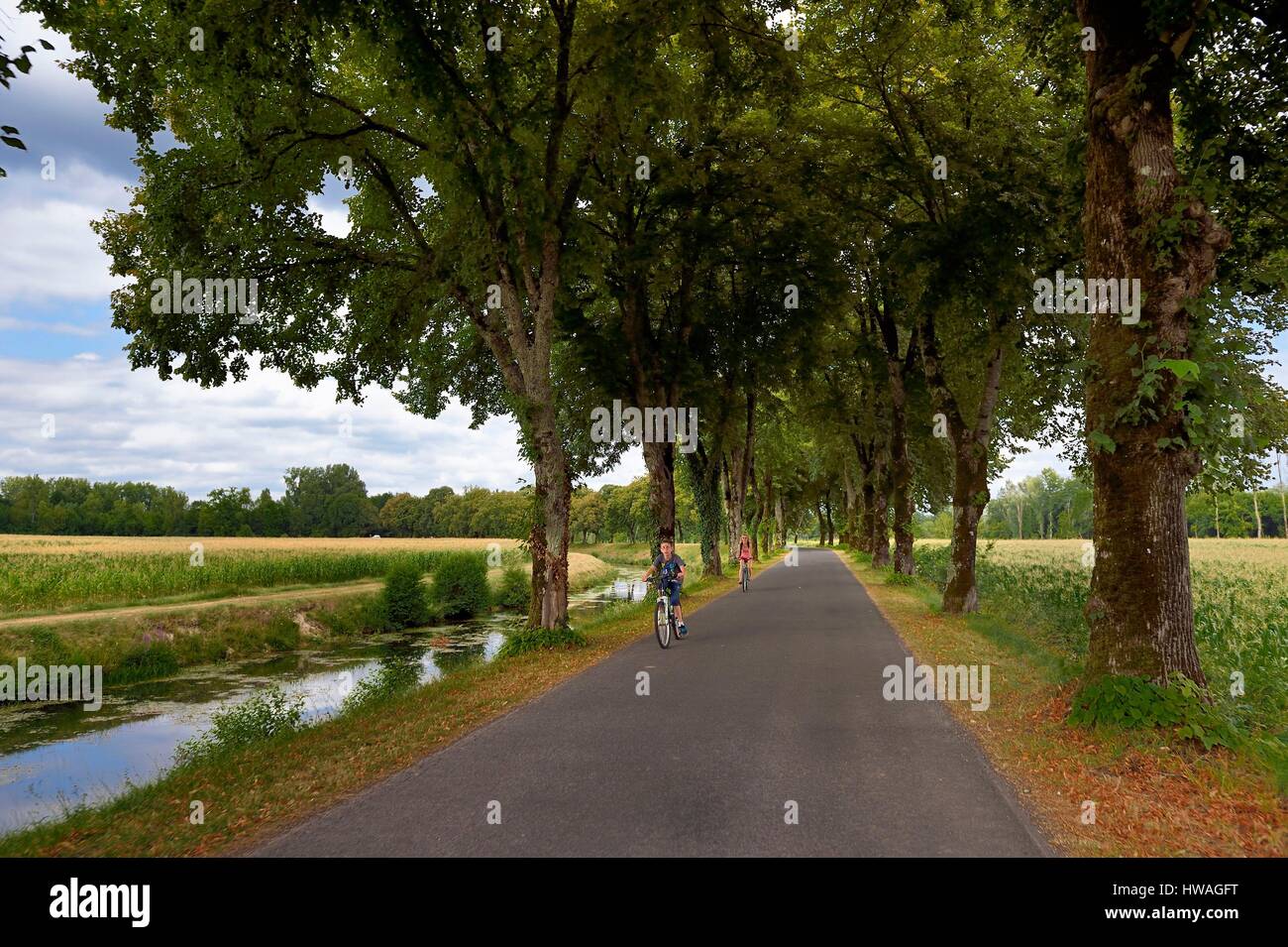 France, Dordogne, Perigord Blanc, Annesse-et-Beaulieu, the new footbridge on the Greenway cycle route (Veloroute Voie verte) along the channeled part Stock Photo