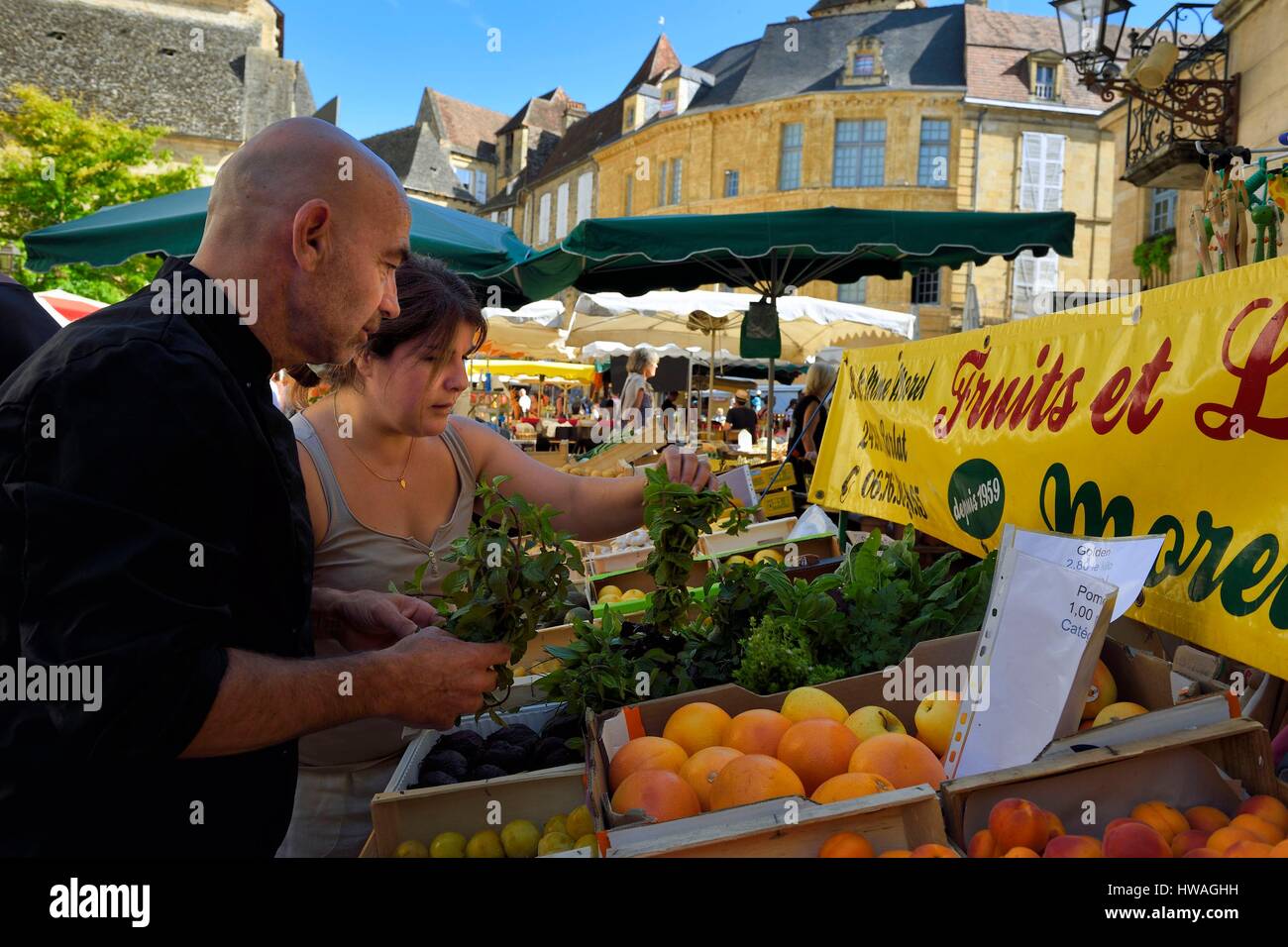 France, Dordogne, Perigord Noir, Dordogne valley, Sarlat la Caneda