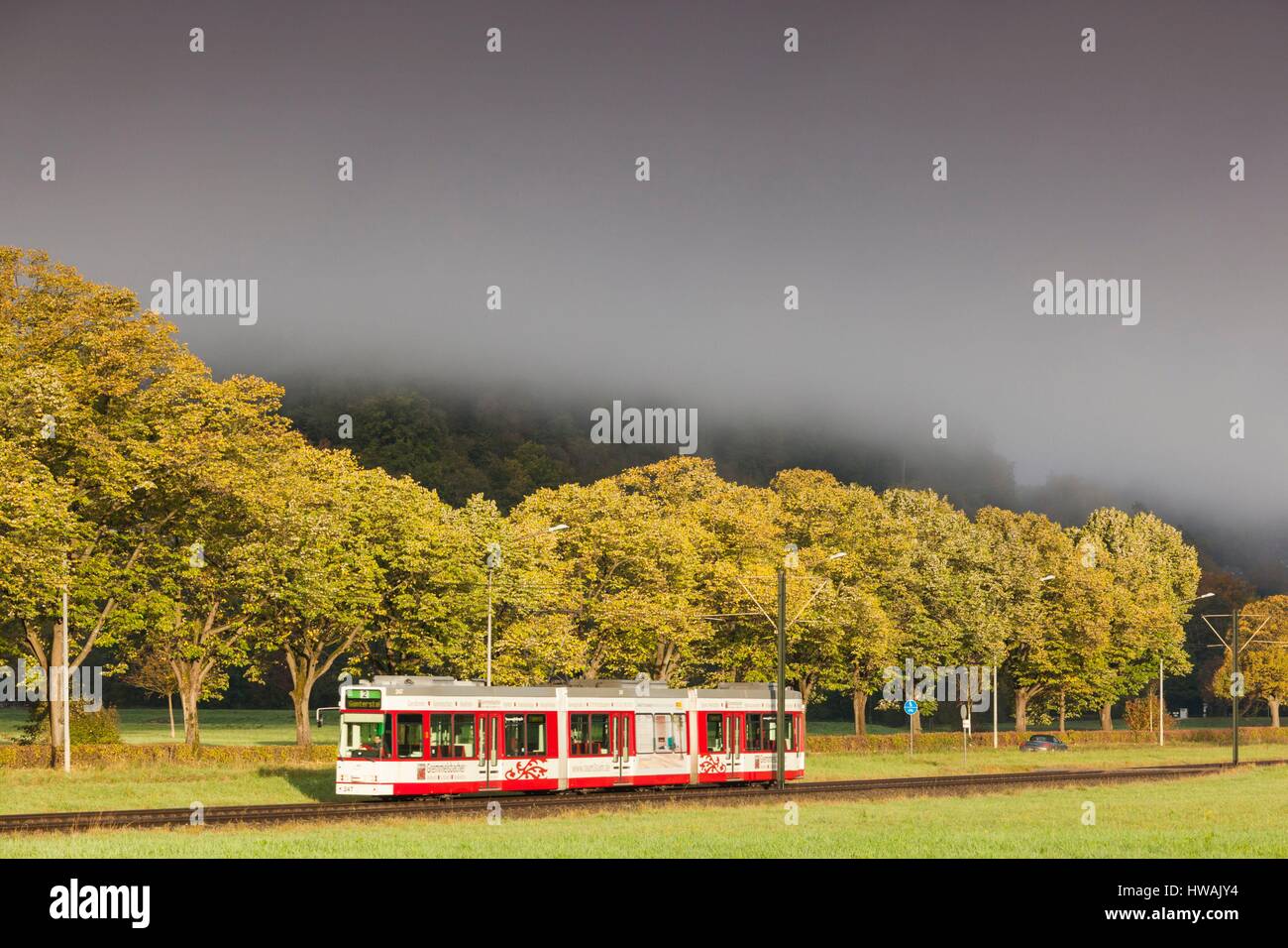 Germany, Baden-Wurttemburg, Black Forest, Freiburg-im-Breisgau, morning fog and tram, dawn Stock Photo