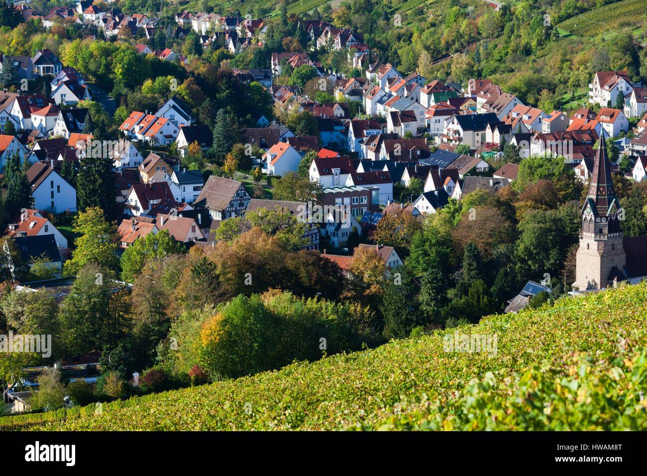 Germany, Baden-Wurttemburg, Stuttgart-Uhlbach, vineyards Stock Photo