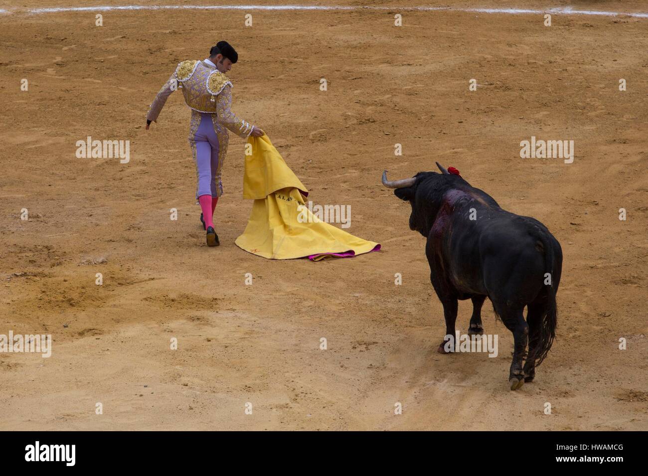 Spain, Andalusia, Jerez de la Frontera, the bullfighter Talavante made quite a bull-breeding Zalduendo, May 2016 Stock Photo