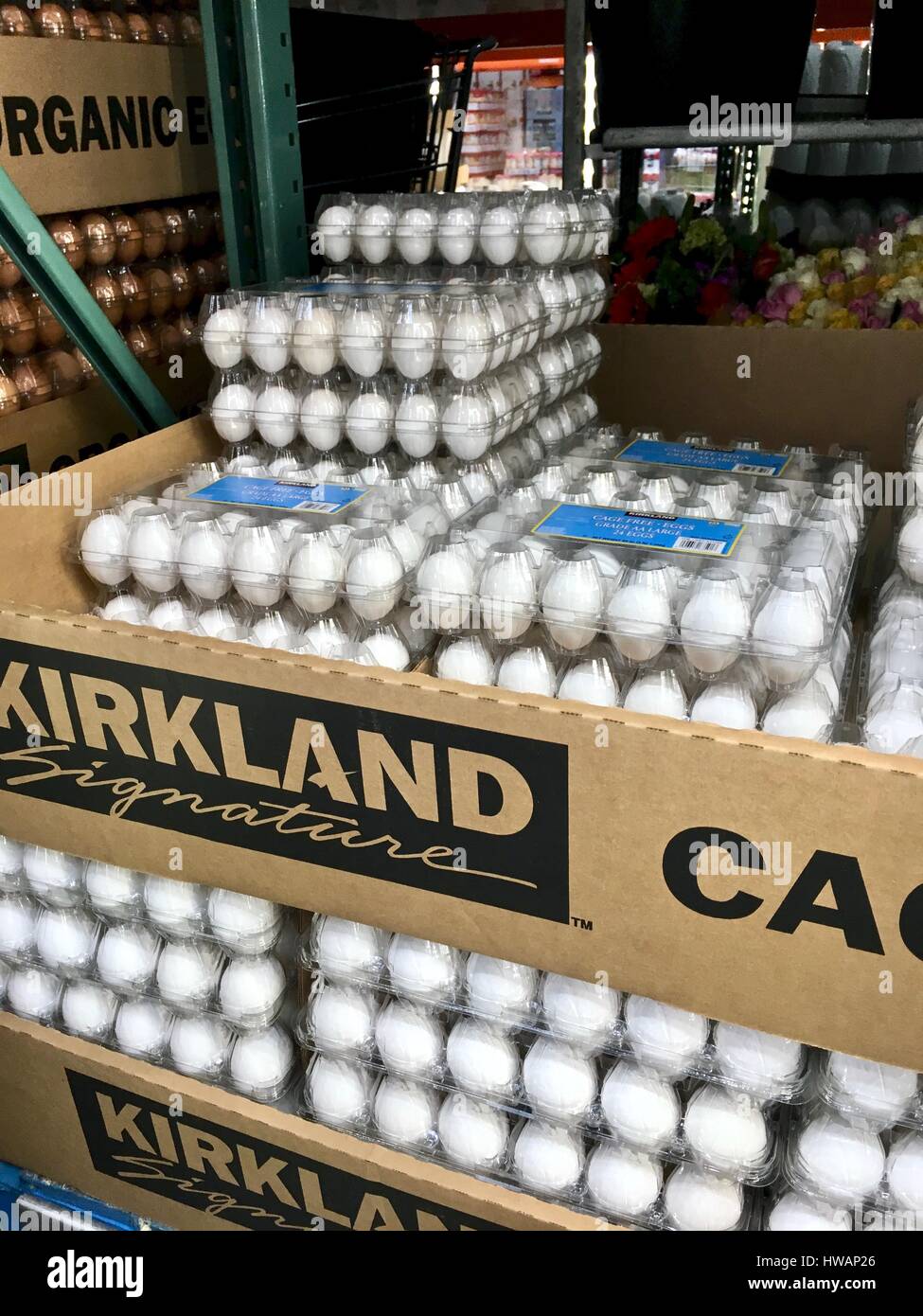 Kirkland eggs at Costco warehouse Stock Photo