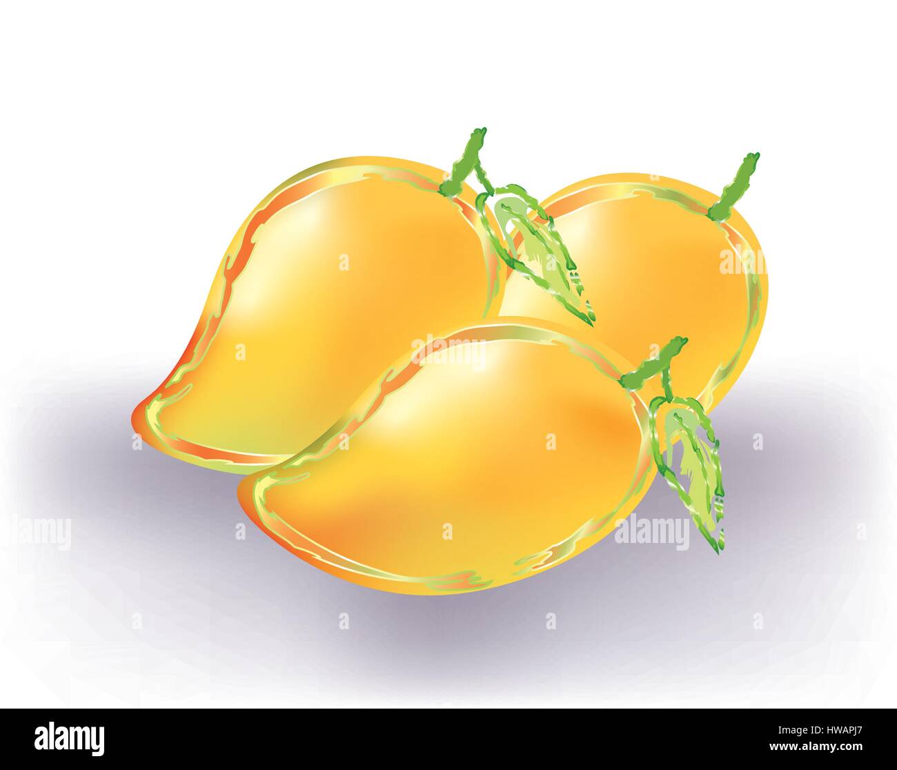 Yellow mangoes Stock Vector
