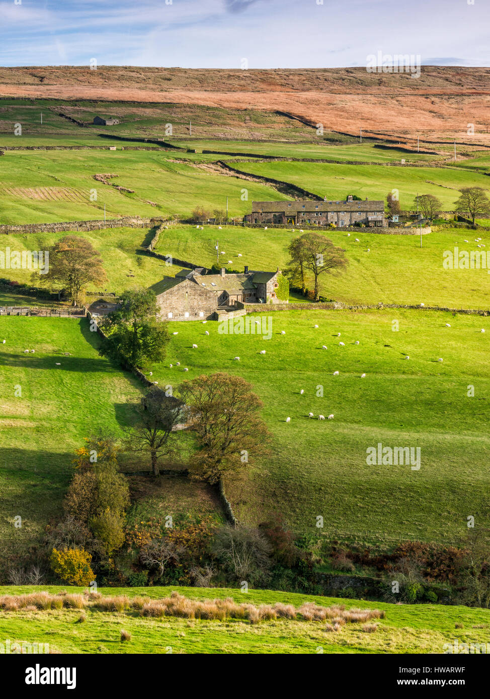 farm building in the yorkshire dales Stock Photo