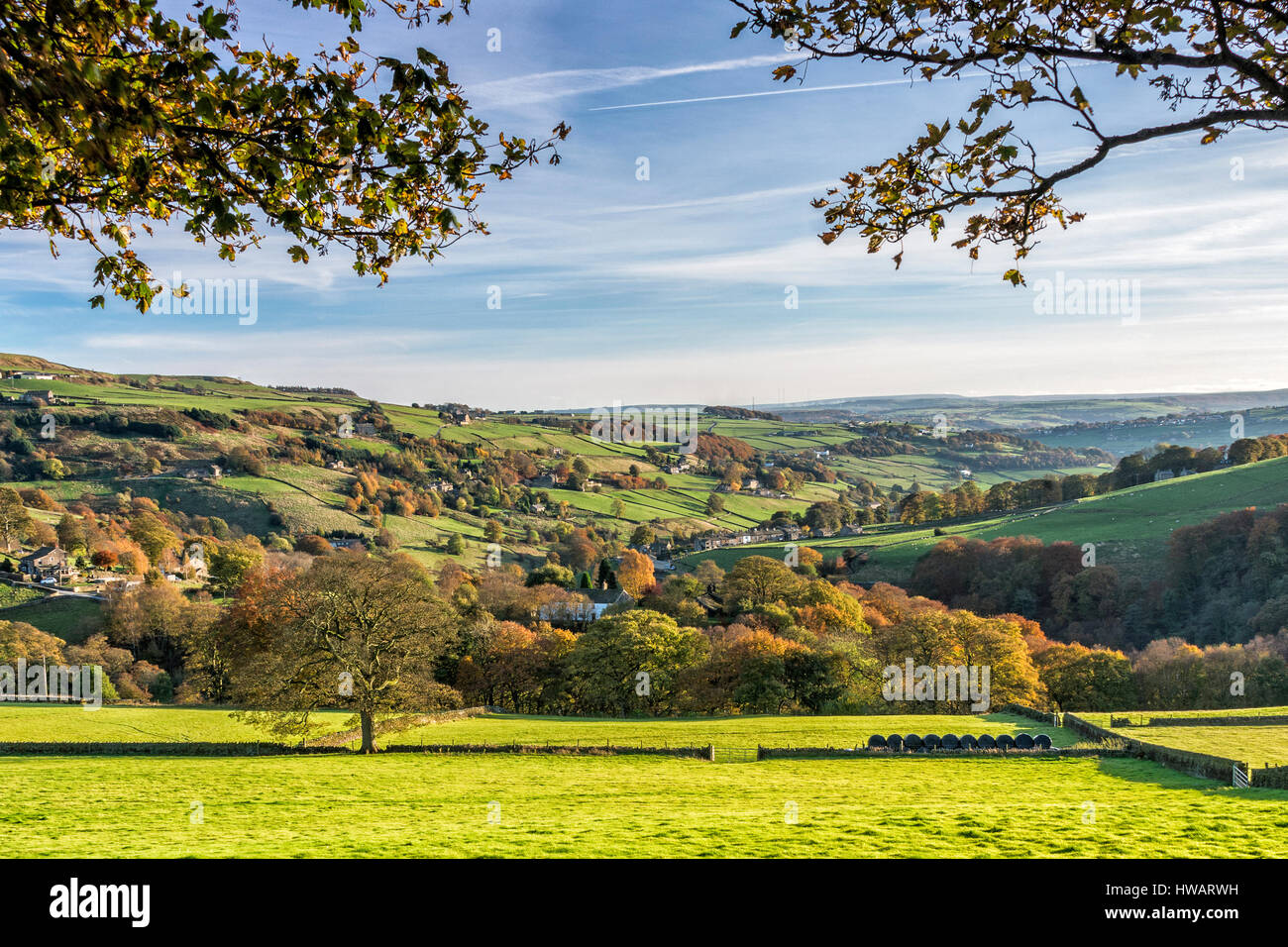 autumn trees on a hillside overlooking a yorkshire dales valley in the area of calderdale west yorkshire Stock Photo