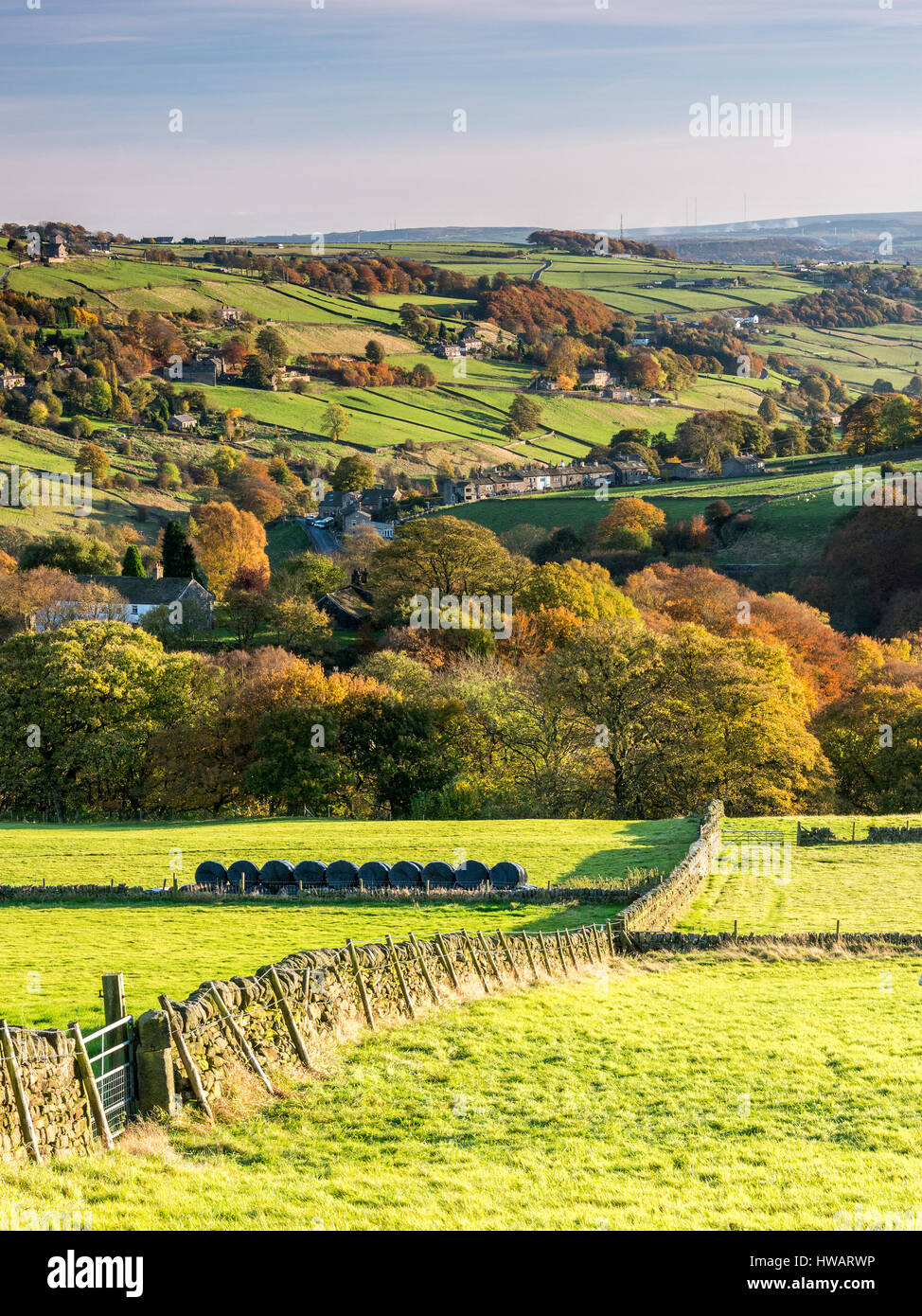 autumn trees on a hillside overlooking a yorkshire dales valley in the area of calderdale west yorkshire Stock Photo